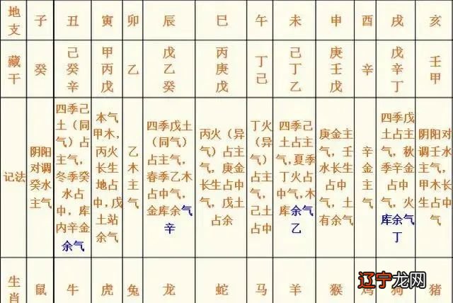 四柱八字_八字带天医的四柱_八字四柱算命网络中国