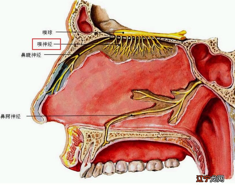 学习报-心地清净方为道,退步原来是向前_六根清净_心地清净方为道,退步原来是向前