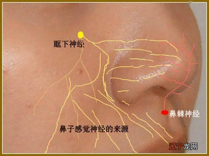 学习报-心地清净方为道,退步原来是向前_六根清净_心地清净方为道,退步原来是向前