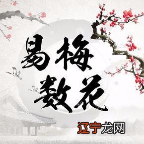 梅花易排盘哪个软件好_梅花易数排盘_易奇八字算命排盘