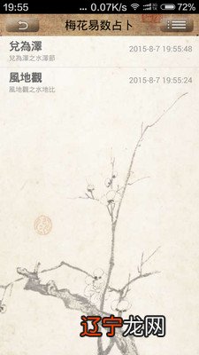 梅花易排盘哪个软件好_梅花易数排盘_易奇八字算命排盘