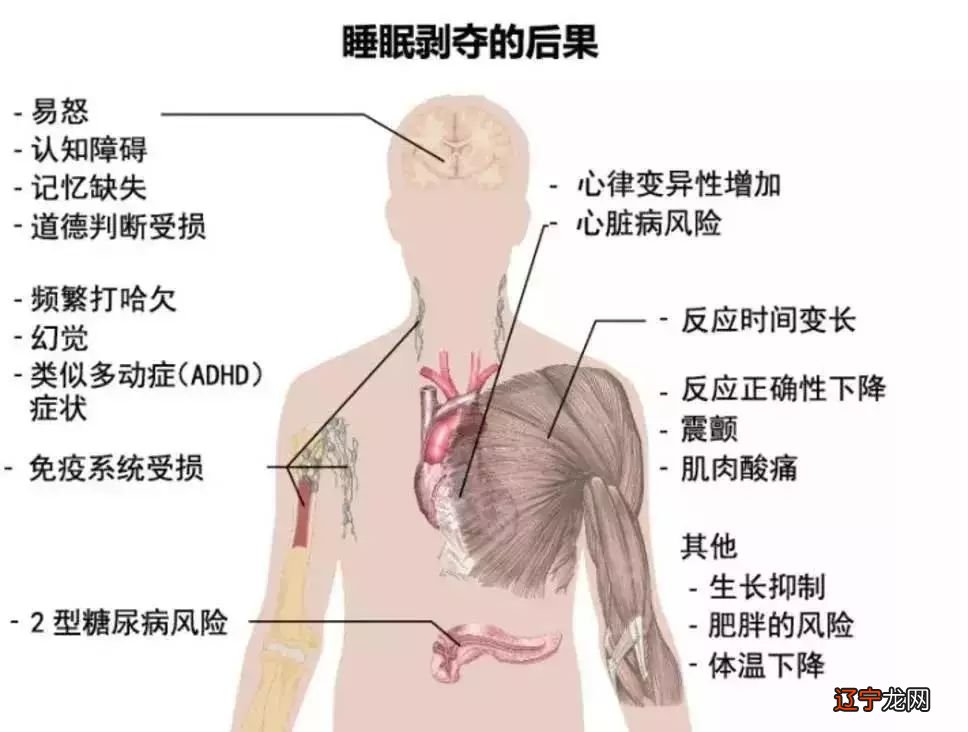 不想熬夜，又不得不熬夜，怎么补救？