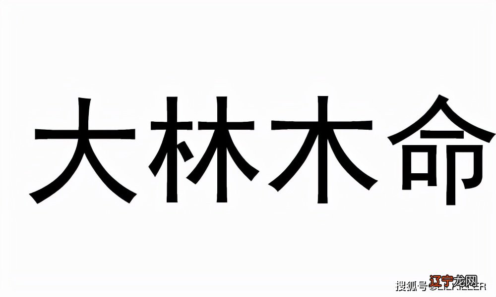 桑柘木命是什么意思_女石榴木命是什么意思_大林木命什么意思