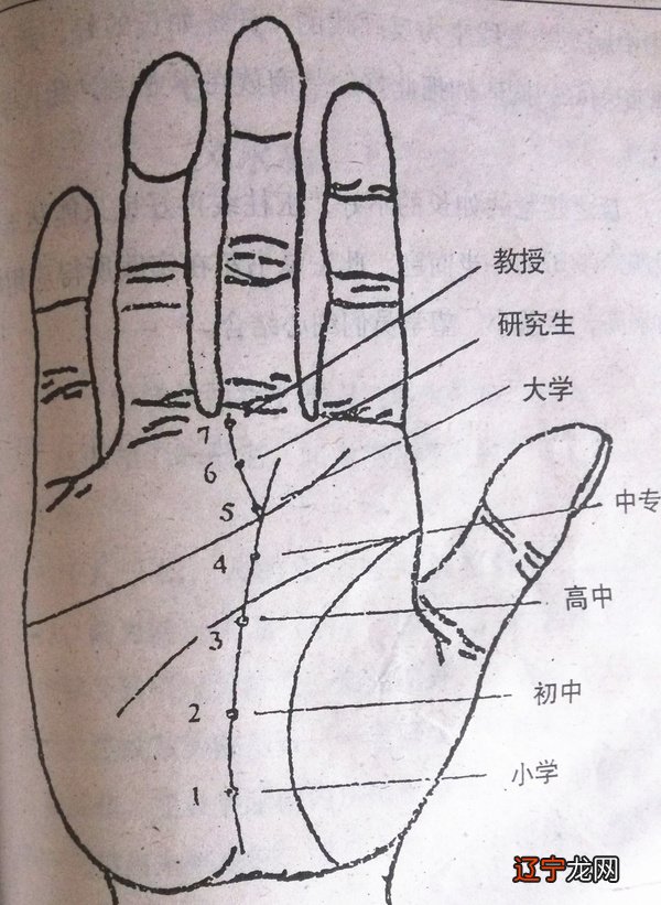 男性手纹算命图解_手纹算命图解_女人手纹算命图解