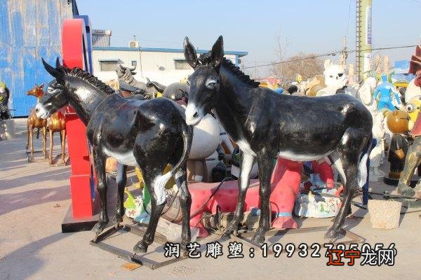 生肖兔属兔的人出生在几月运势最佳 87年属兔女2020年运势