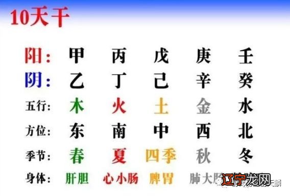 乙木_乙木流年遇伤官_许西川乙木