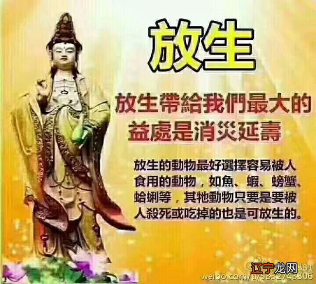 放生功德第一_放生的功德_印光法师 放生功德