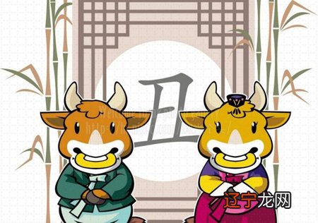 狗和牛相配婚姻如何 属狗的和属牛的婚姻如何