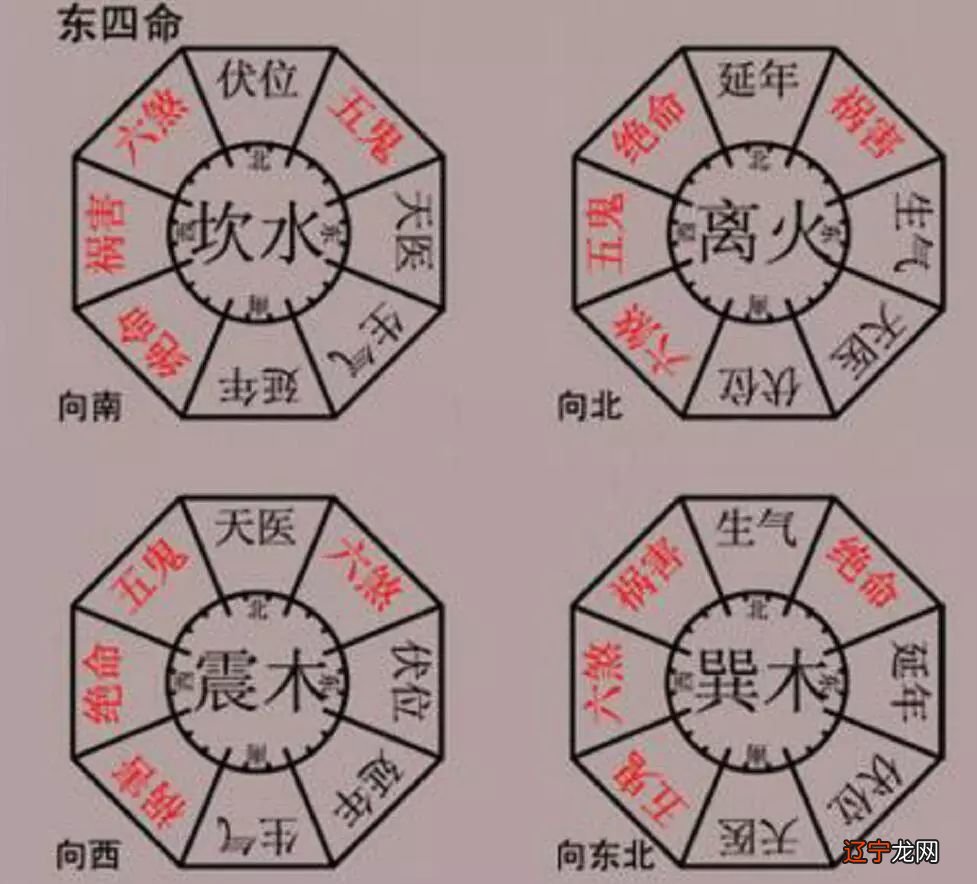 属兔的财运方位_属相与财运方位_财运方位