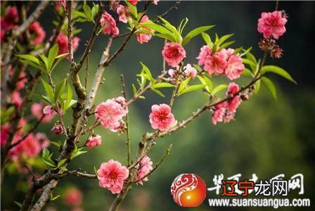 大师在线算命：感情容易受挫，烂桃花多的4种面相解析