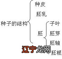 八字预测学八字命理 txt免费下载_八字风水命理_风水八字命理