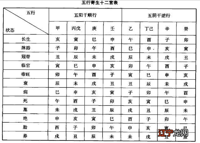 八字十神有九神_十神测算_天干十神地支十神区别