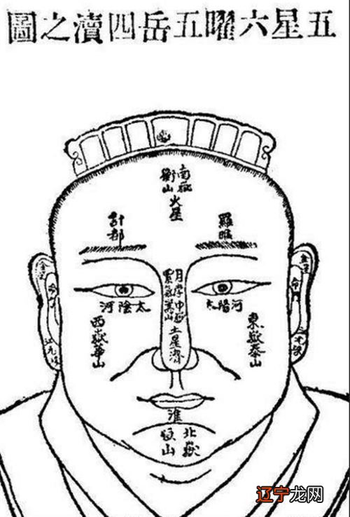 理论塔板数单位_古代术数基础理论作者_儿歌数青蛙作者