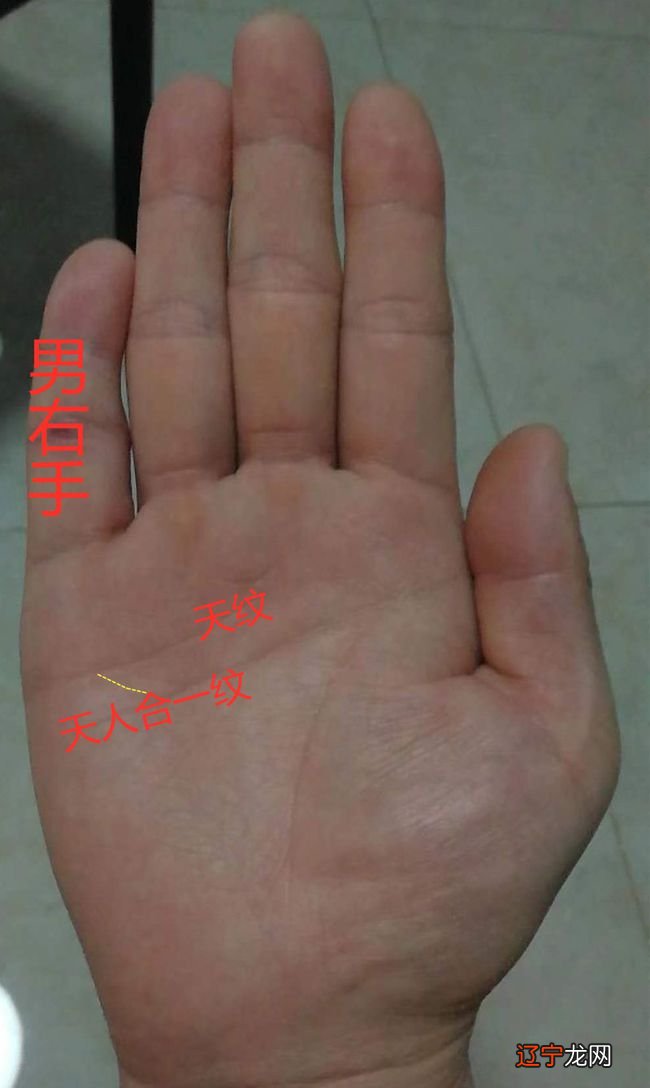 女人左手断掌纹_断掌纹的女人_男人左手断掌纹