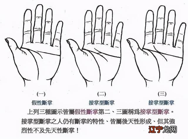 手相图解女人断掌纹_断手纹和断掌纹一样吗_断掌纹的女人