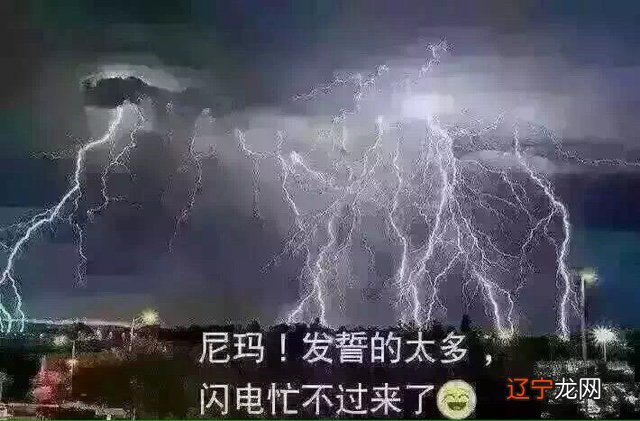 雷击枣木_雷击枣木价格_雷击枣木珍贵吗