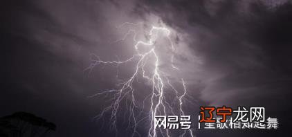 雷击枣木价格_雷击枣木_雷击枣木珍贵吗