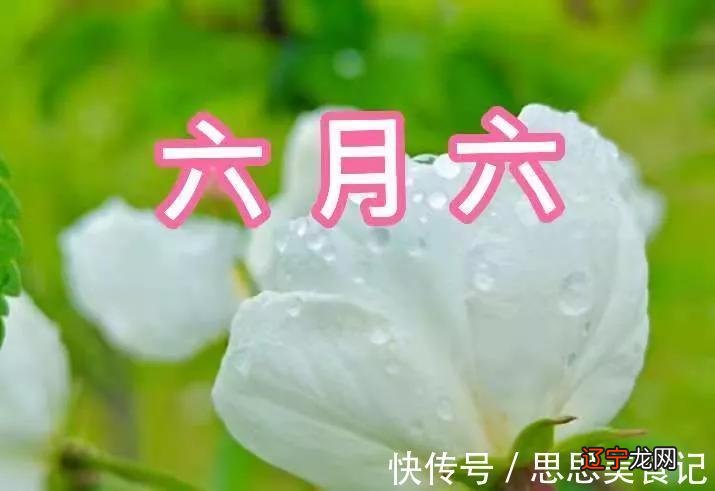 6月初六应该吃什么