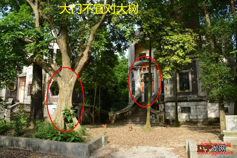 八字形地建房子风水好吗_农村建房风水禁忌_山区建房风水