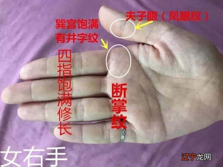 王军：女性断掌手相的实例讲解