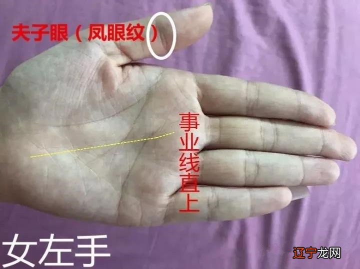 王军：女性断掌手相的实例讲解