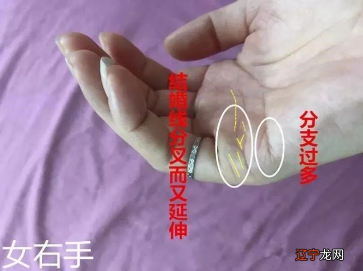 王军：女性断掌手相的实例讲解