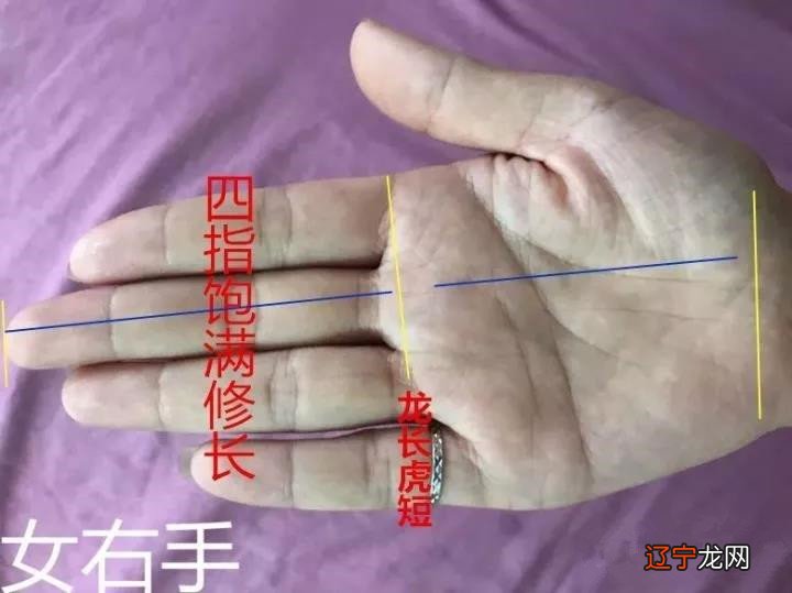 王军：女性断掌手相的实例讲解