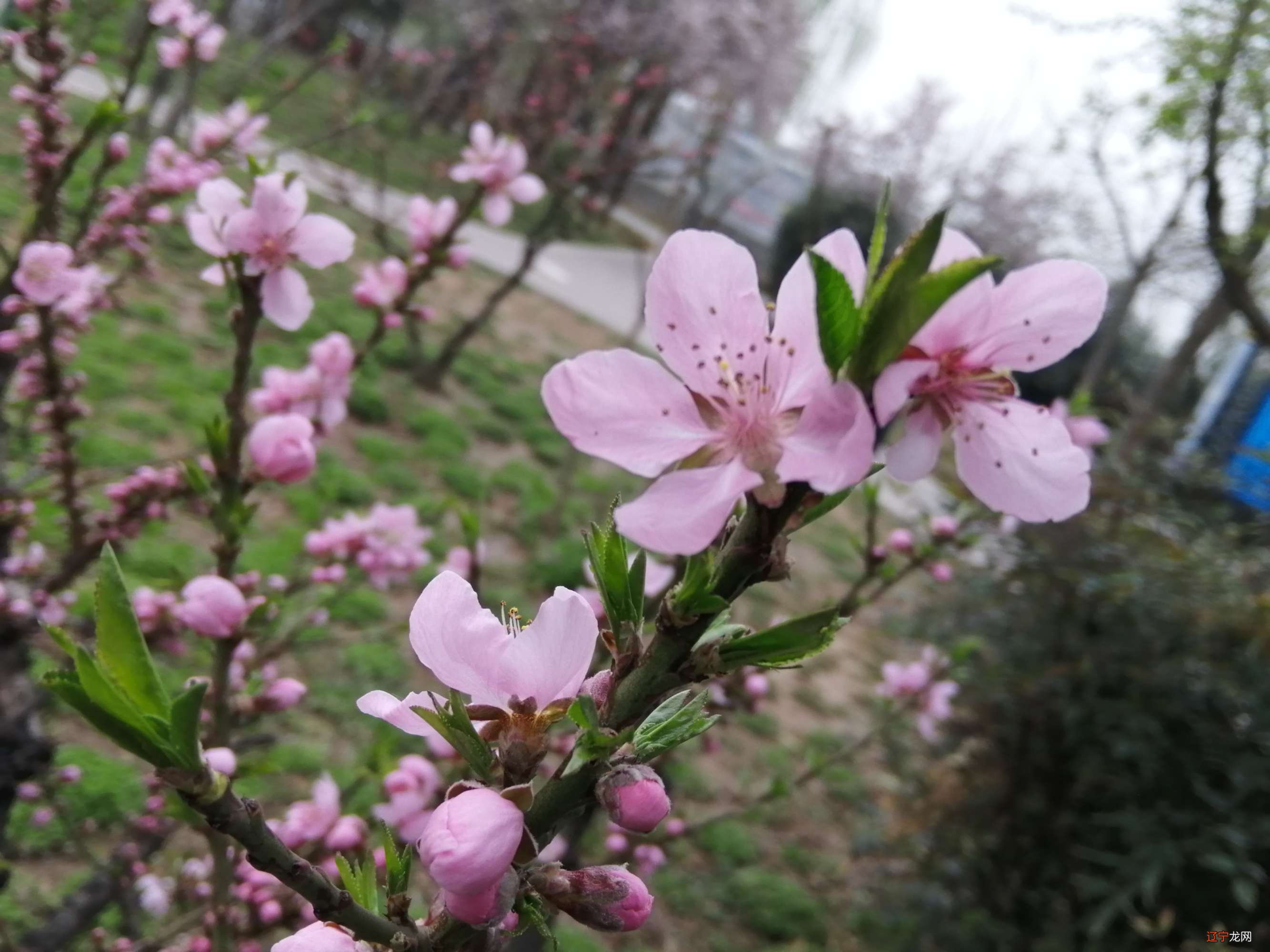 10月压力大,9月贵人相助感情不错的三大生肖