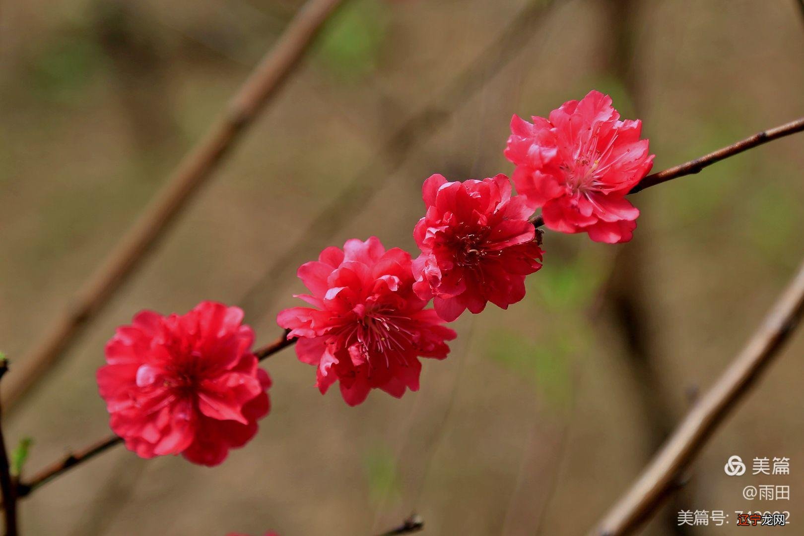 10月压力大,9月贵人相助感情不错的三大生肖