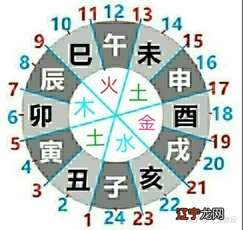 天干相合地支相刑_天干地支_site99166.com 天干纪年法中天干有10个 地支