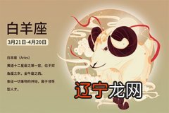 怎么看各年运势_不同日柱看2018年运势_日柱看2016年运势