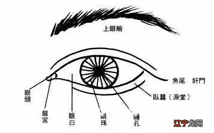 眼睛黑白分明是左脑思维吗_眼睛黑白分明_动漫女生眼睛黑白