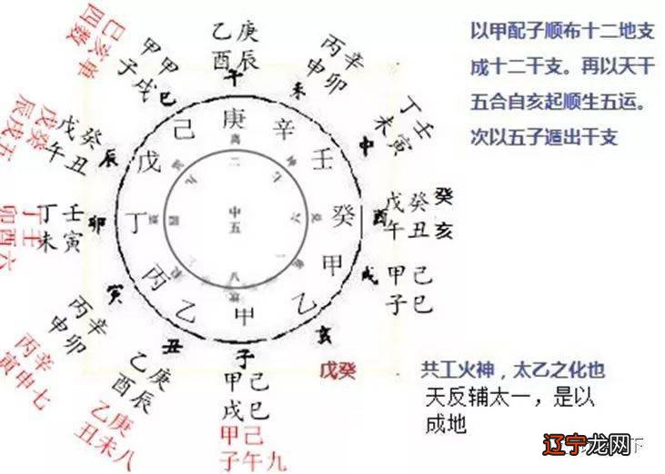 金辛金钙特24支多少钱_辛金_金辛金丐特