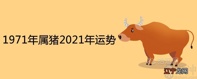 1971年属猪2021年全年运势详解 50岁有一灾是真的吗