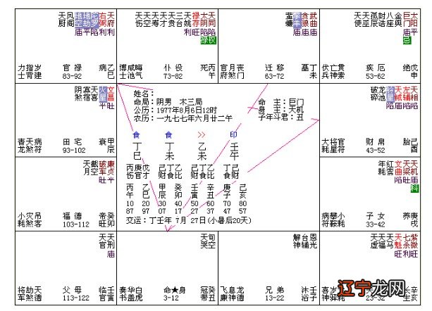 紫微2021年的流年运势_紫微流年排盘看桃花_紫微斗数流年运势怎么看