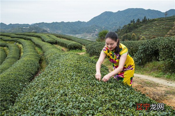 阴宅风水寻龙点穴口诀:登山看水口，入穴看明堂