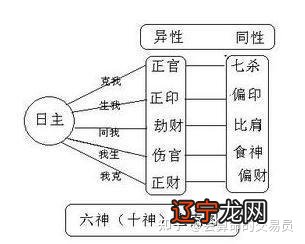 命理学入门3十神五行