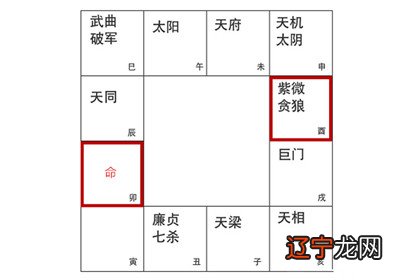 紫微命盘中命宫无主星借对宫紫微贪狼详解