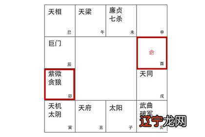 紫微命盘中命宫无主星借对宫紫微贪狼详解