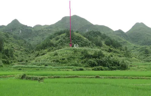 走马阴阳坟墓风水断_住宅西边10米有坟墓 如何化解_怎么化解坟墓风水学