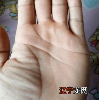 手相图解婚姻线_手相成功线大全图解_女人手相事业线图解