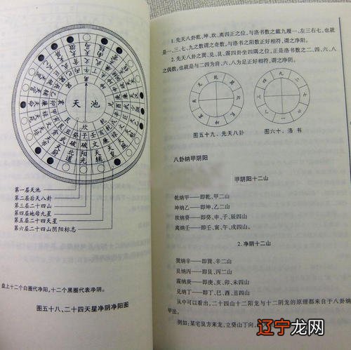 丙寅日柱走什么大运好八字四柱运那年走日柱八字命理