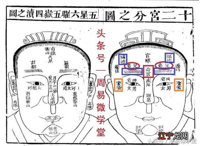 终南命理之惭愧学人 六亲语录_传统命理论六亲_传统八字命理精解