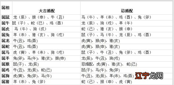 属鸡的和什么属相最配_鸡属相和什么属相最配_属相鸡和属相鸡合不合