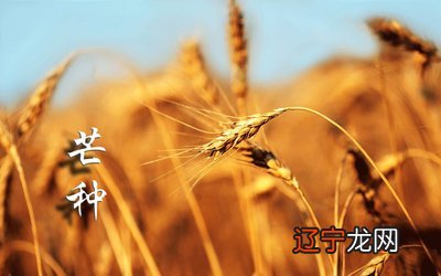 2021芒种是几月几日日几点