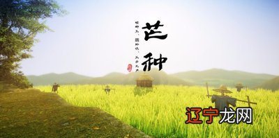 2021芒种是几月几日日几点