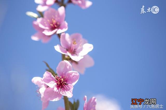 测夫妻八字合不合_八字测名字打分,免费测名字_免费测夫妻八字合不合