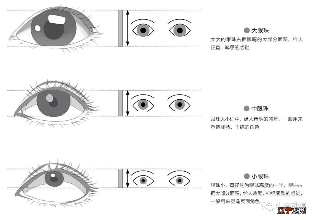 看鼻子挂什么科_什么年龄看相看鼻子_鼻子看几岁运势