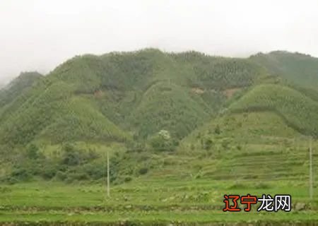 好风水宝地的明显特征_济南风水大师水正海专业墓地风水_好风水墓地的明显特征