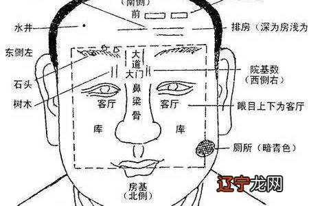 大家觉得面相算命准吗 非常准的面相识人